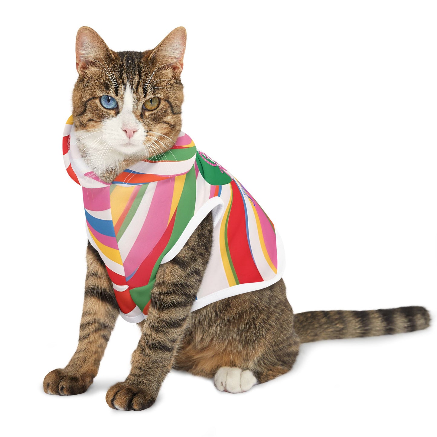 Vibrant Pet Hoodie with Colorful Stripes, Stylish Pet Apparel, Rainbow Dog Outfit, Playful Pet Fashion