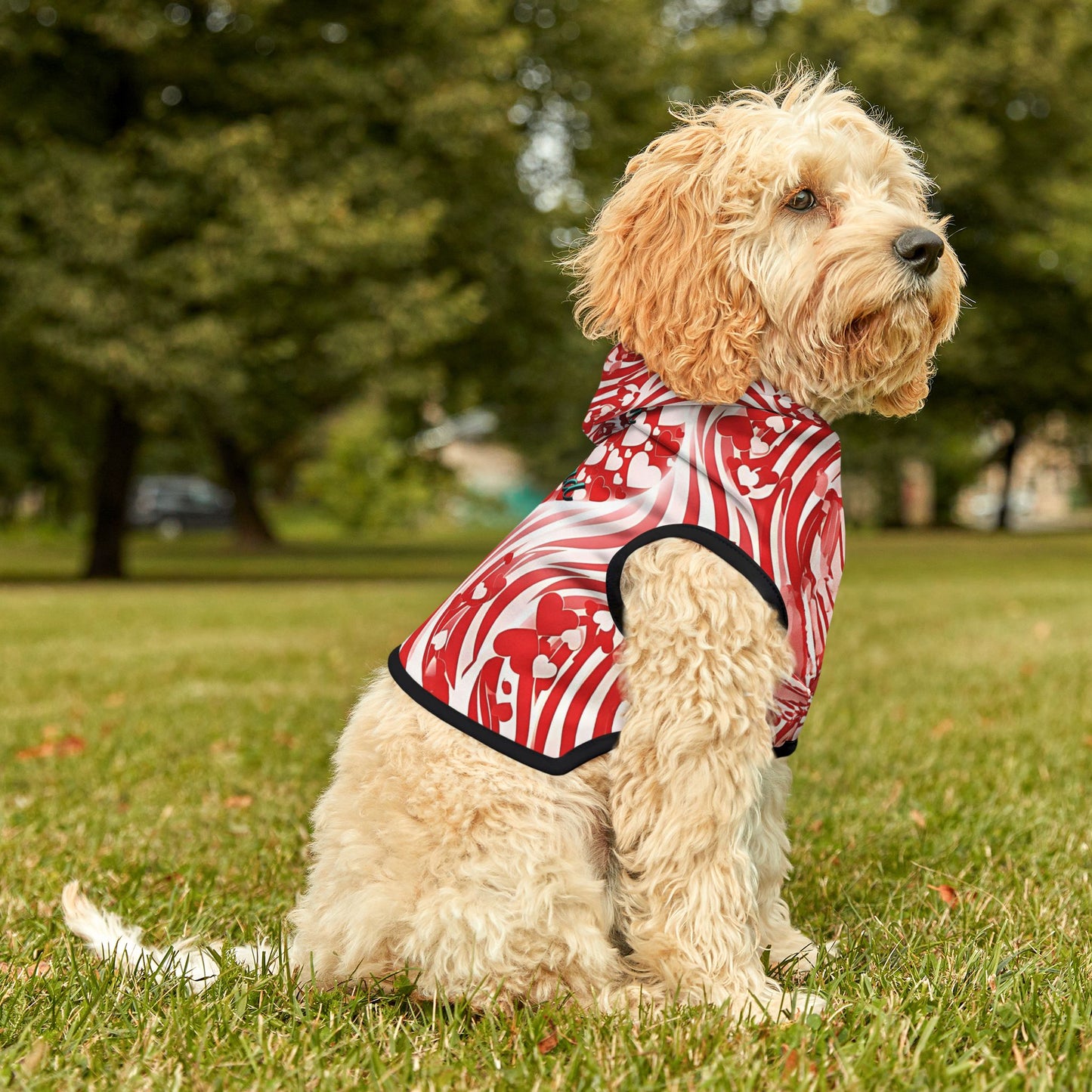 Stylish Pet Hoodie for Your Best Friend, Valentine's Gift, Cute Pet Clothing, Cozy Dog Sweater, Red Heart Design