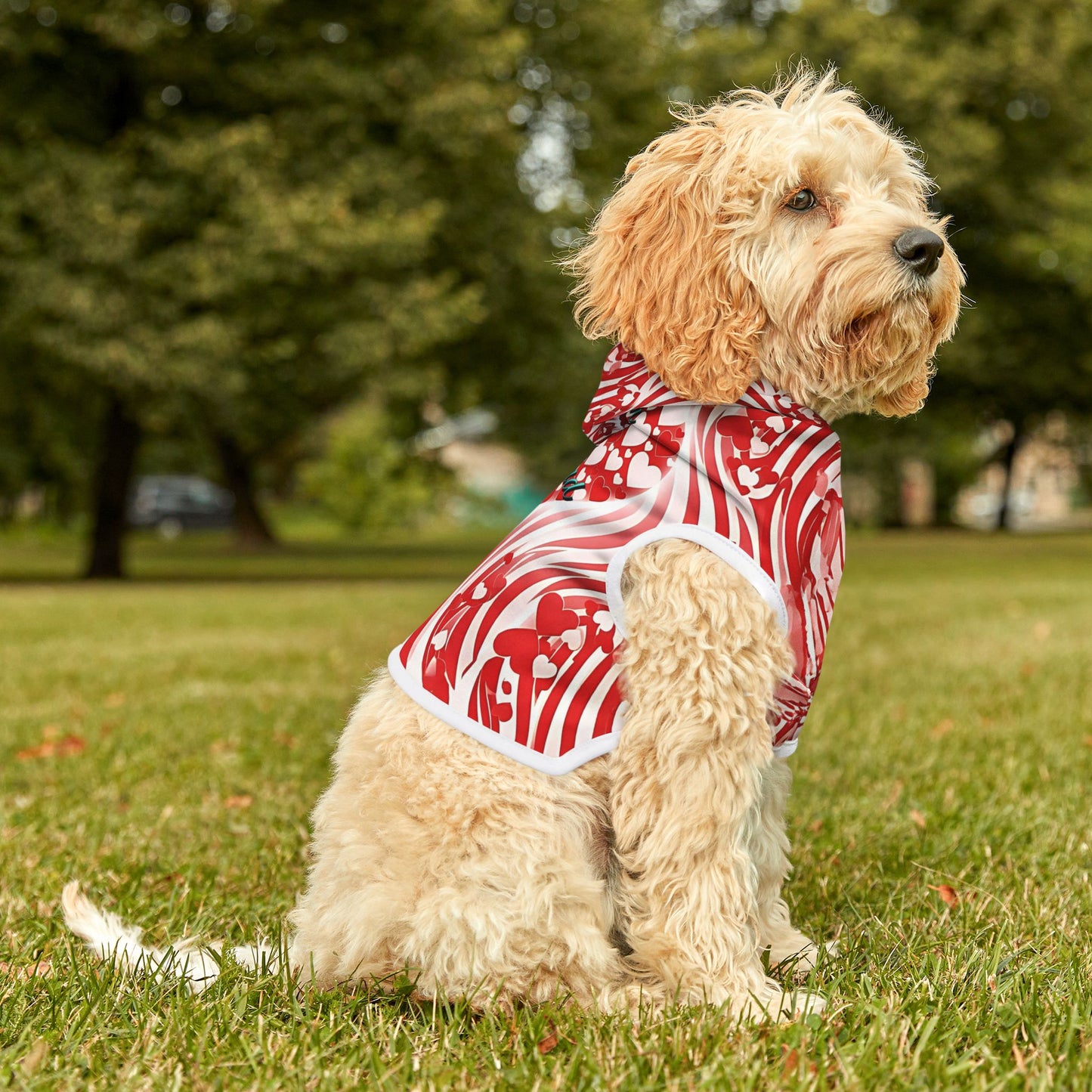 Stylish Pet Hoodie for Your Best Friend, Valentine's Gift, Cute Pet Clothing, Cozy Dog Sweater, Red Heart Design