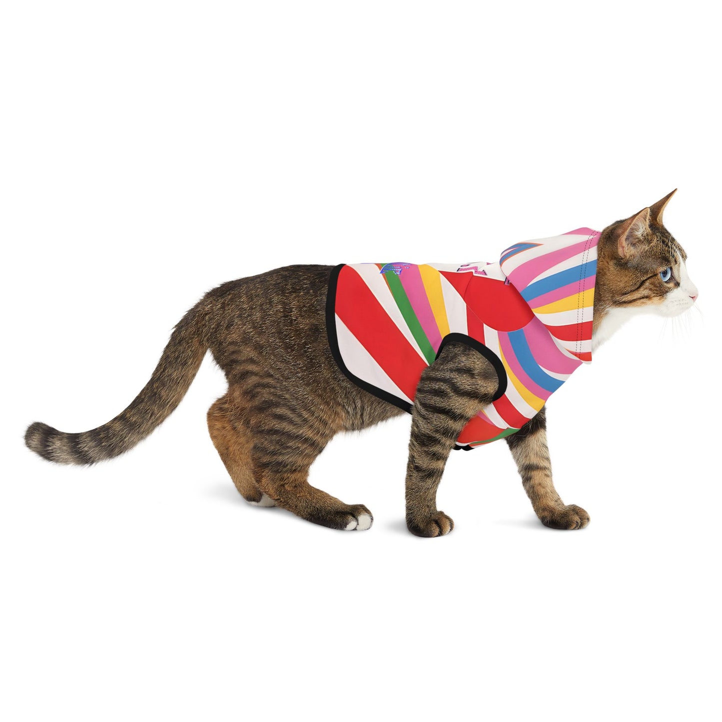 Vibrant Pet Hoodie with Colorful Stripes, Stylish Pet Apparel, Rainbow Dog Outfit, Playful Pet Fashion