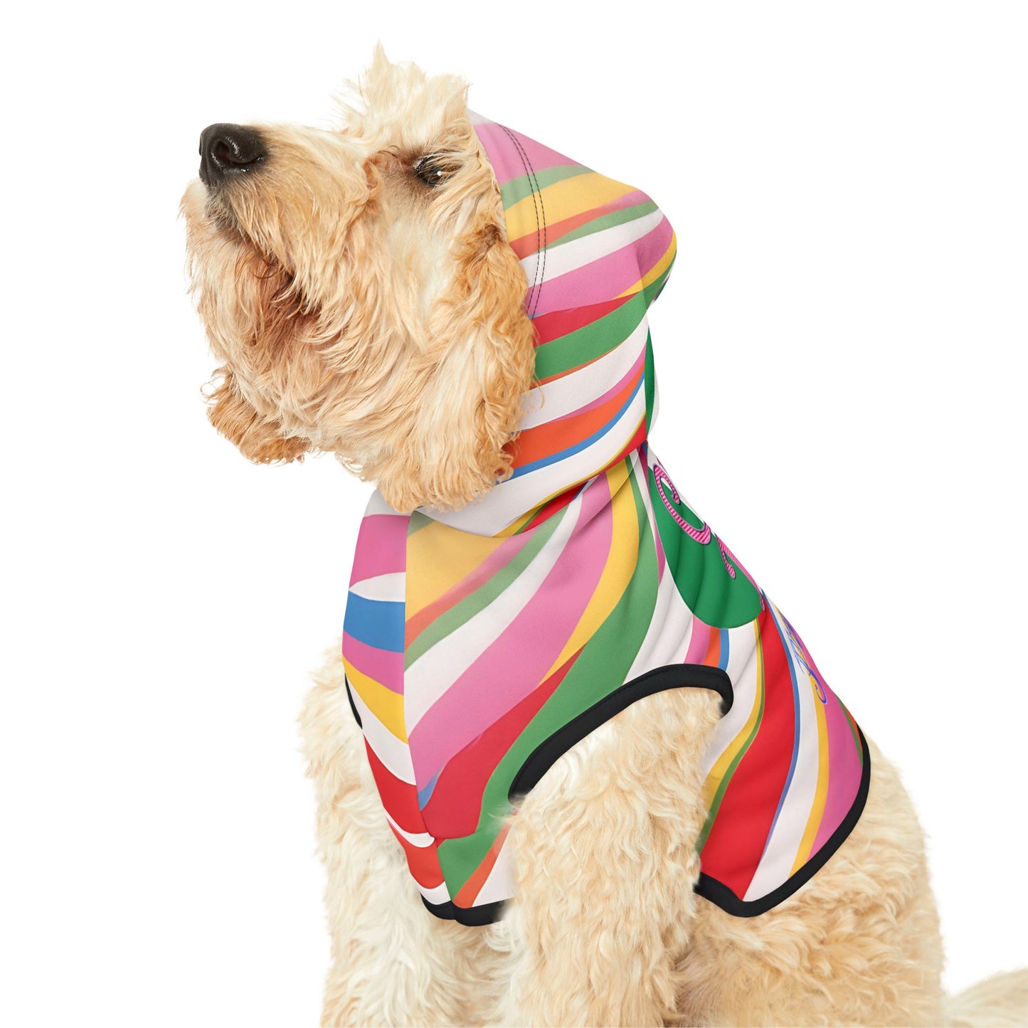 Vibrant Pet Hoodie with Colorful Stripes, Stylish Pet Apparel, Rainbow Dog Outfit, Playful Pet Fashion