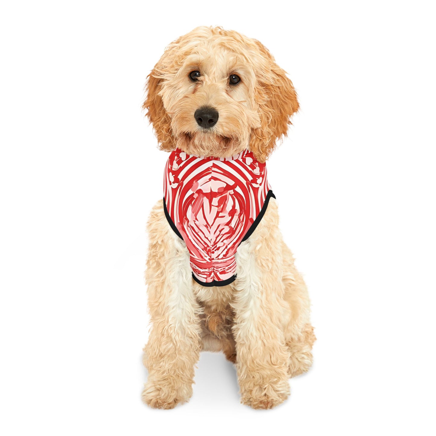 Stylish Pet Hoodie for Your Best Friend, Valentine's Gift, Cute Pet Clothing, Cozy Dog Sweater, Red Heart Design