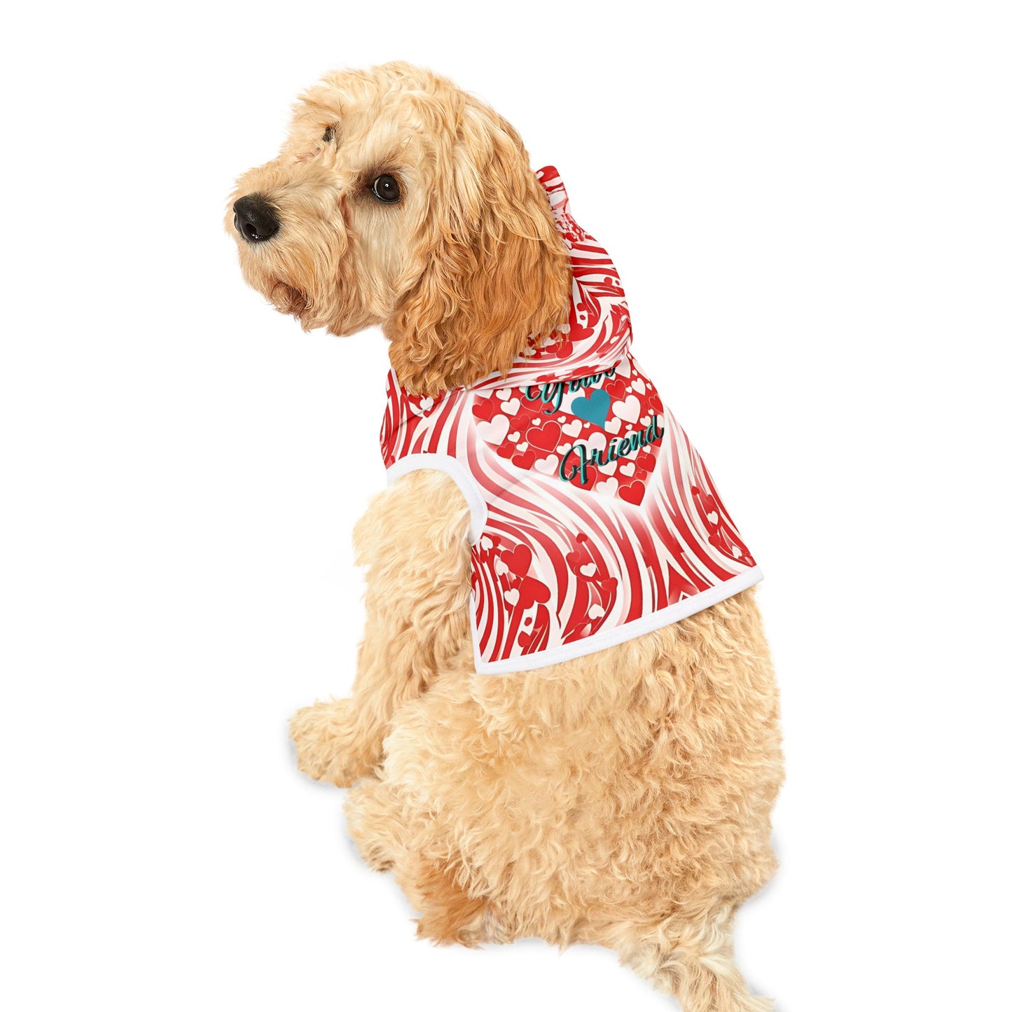 Stylish Pet Hoodie for Your Best Friend, Valentine's Gift, Cute Pet Clothing, Cozy Dog Sweater, Red Heart Design