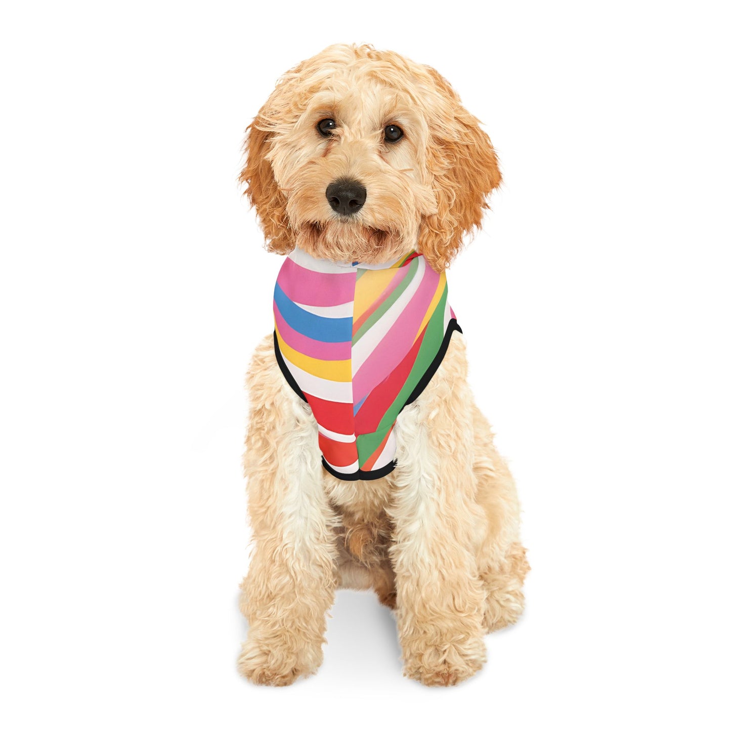 Vibrant Pet Hoodie with Colorful Stripes, Stylish Pet Apparel, Rainbow Dog Outfit, Playful Pet Fashion