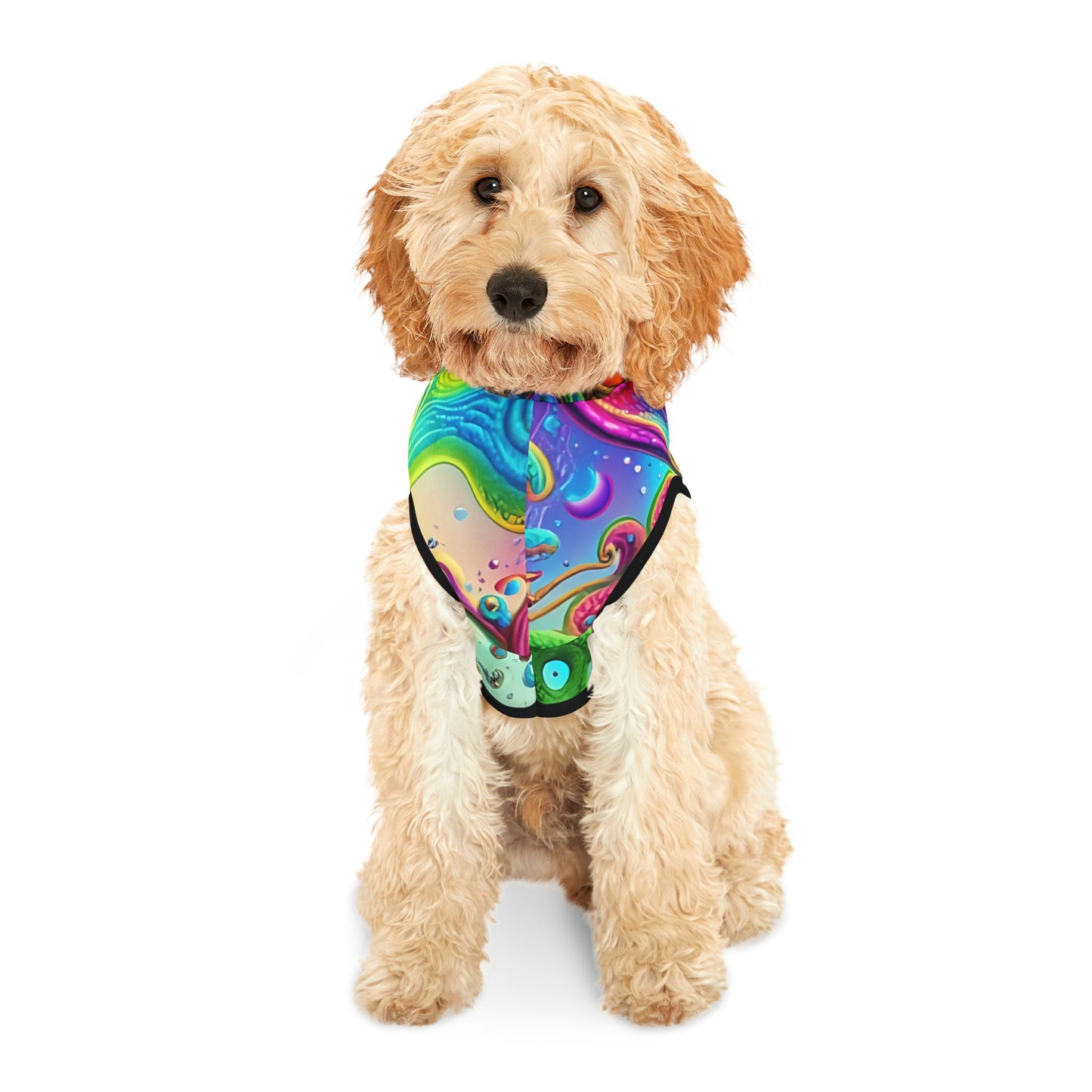Colorful Pet Hoodie, Cozy Pet Apparel, Dog or Cat Sweater, Vibrant Pet Clothing for Holiday Gift, Unique Pet Fashion