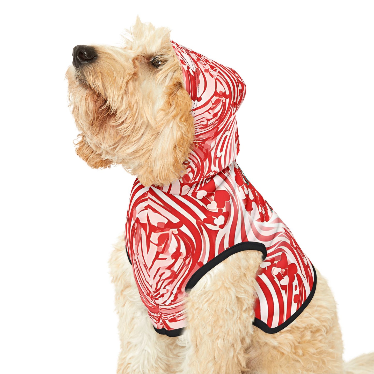 Stylish Pet Hoodie for Your Best Friend, Valentine's Gift, Cute Pet Clothing, Cozy Dog Sweater, Red Heart Design