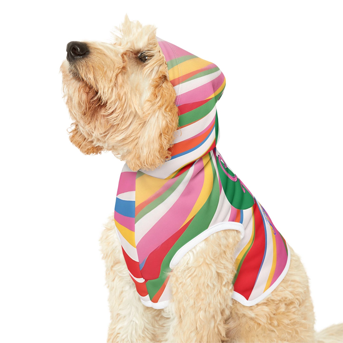 Vibrant Pet Hoodie with Colorful Stripes, Stylish Pet Apparel, Rainbow Dog Outfit, Playful Pet Fashion
