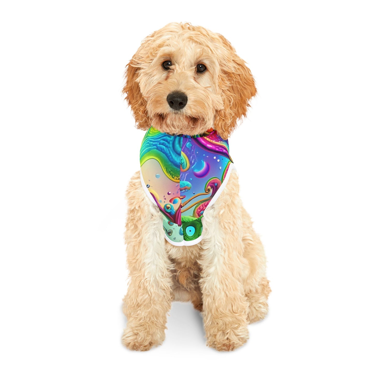Colorful Pet Hoodie, Cozy Pet Apparel, Dog or Cat Sweater, Vibrant Pet Clothing for Holiday Gift, Unique Pet Fashion
