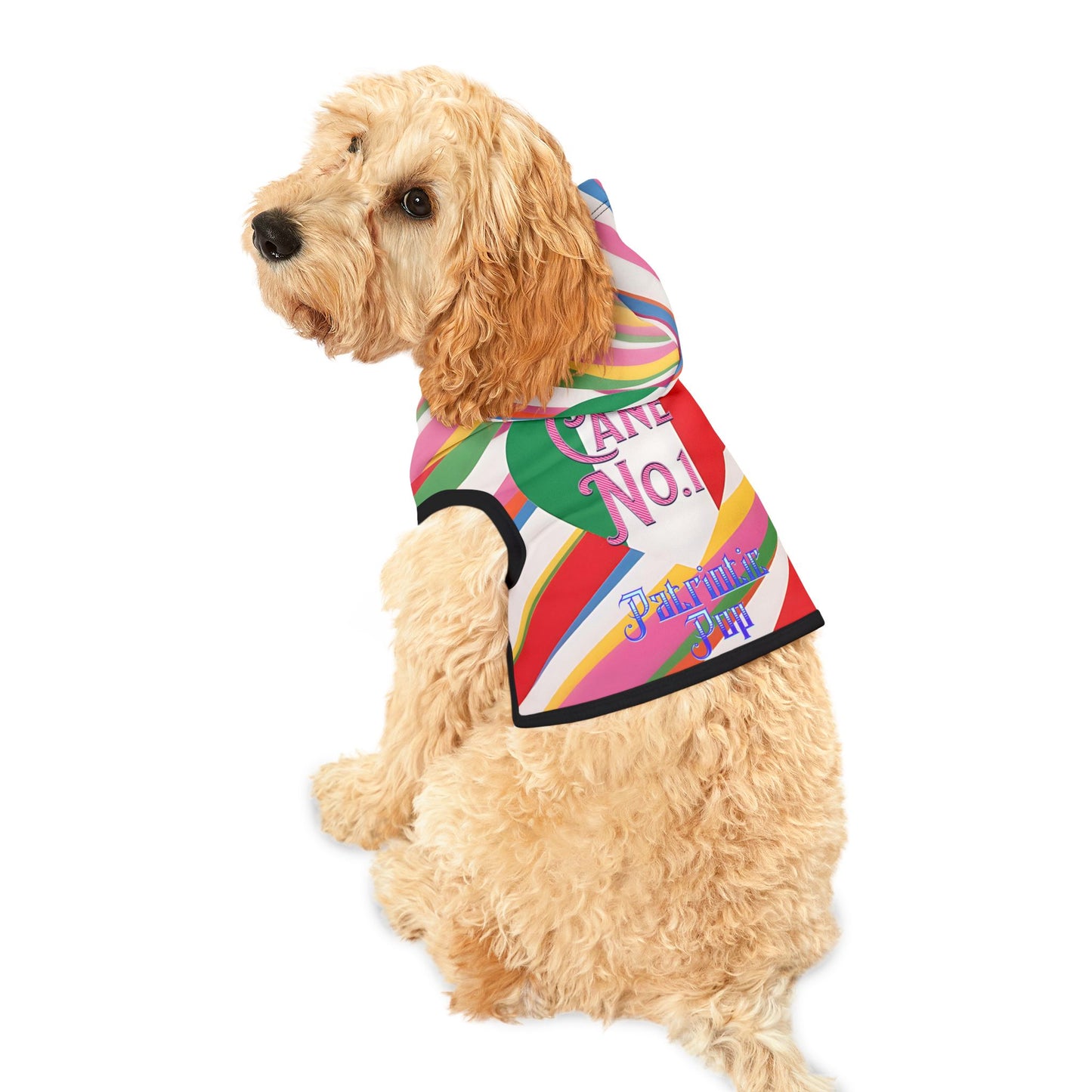 Vibrant Pet Hoodie with Colorful Stripes, Stylish Pet Apparel, Rainbow Dog Outfit, Playful Pet Fashion