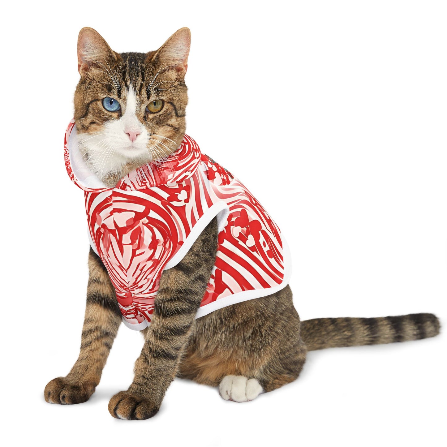 Stylish Pet Hoodie for Your Best Friend, Valentine's Gift, Cute Pet Clothing, Cozy Dog Sweater, Red Heart Design