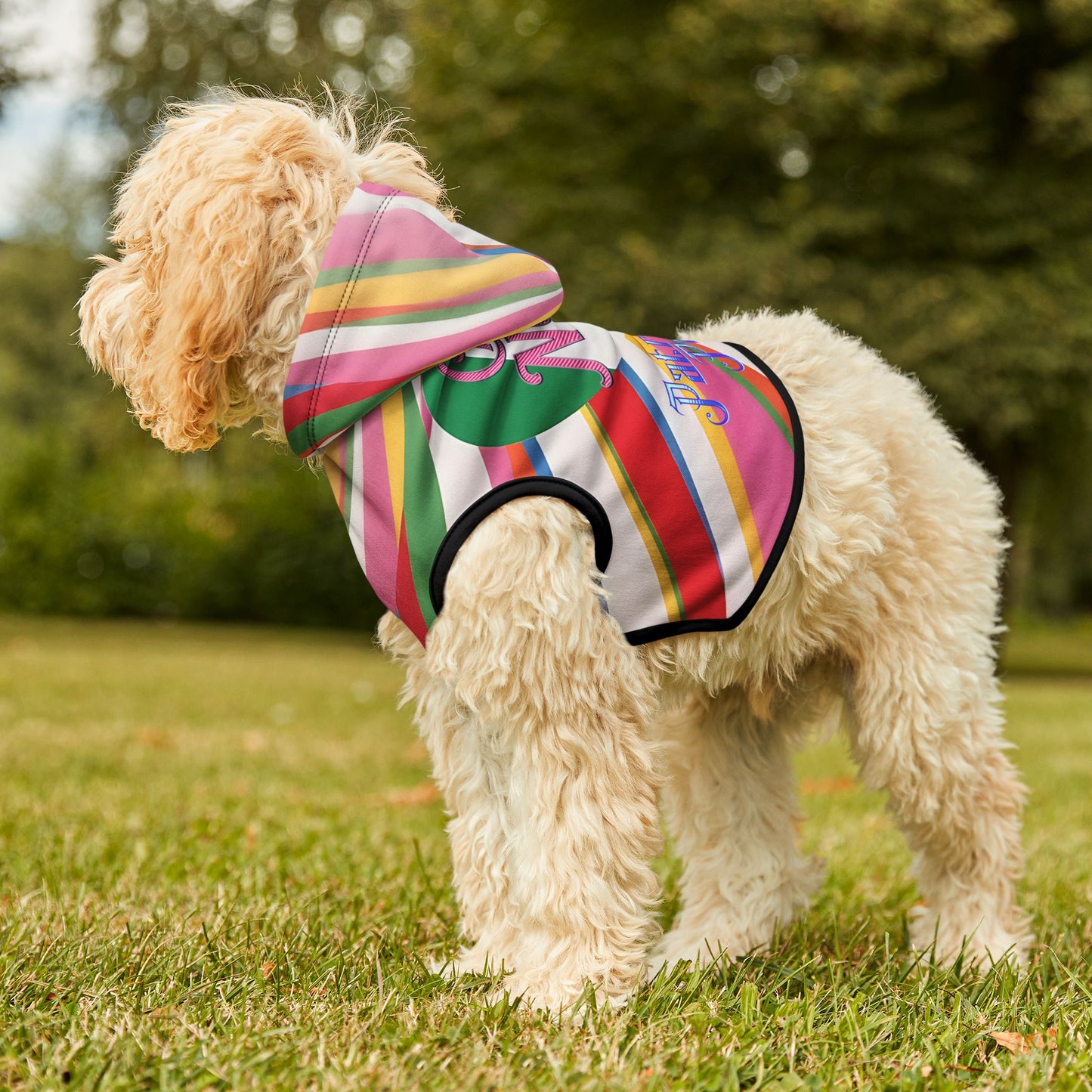 Vibrant Pet Hoodie with Colorful Stripes, Stylish Pet Apparel, Rainbow Dog Outfit, Playful Pet Fashion