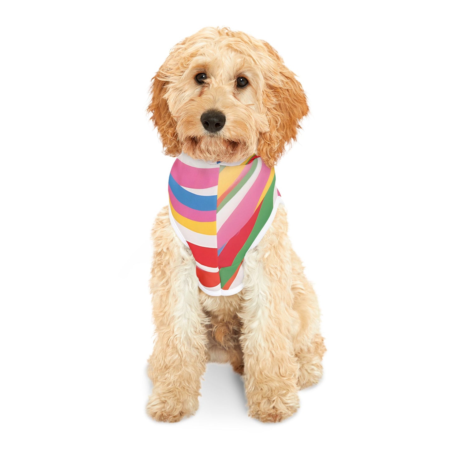 Vibrant Pet Hoodie with Colorful Stripes, Stylish Pet Apparel, Rainbow Dog Outfit, Playful Pet Fashion