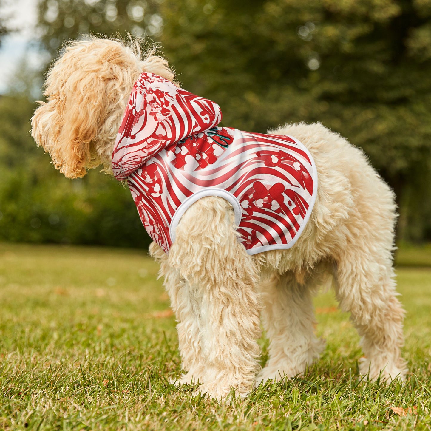 Stylish Pet Hoodie for Your Best Friend, Valentine's Gift, Cute Pet Clothing, Cozy Dog Sweater, Red Heart Design