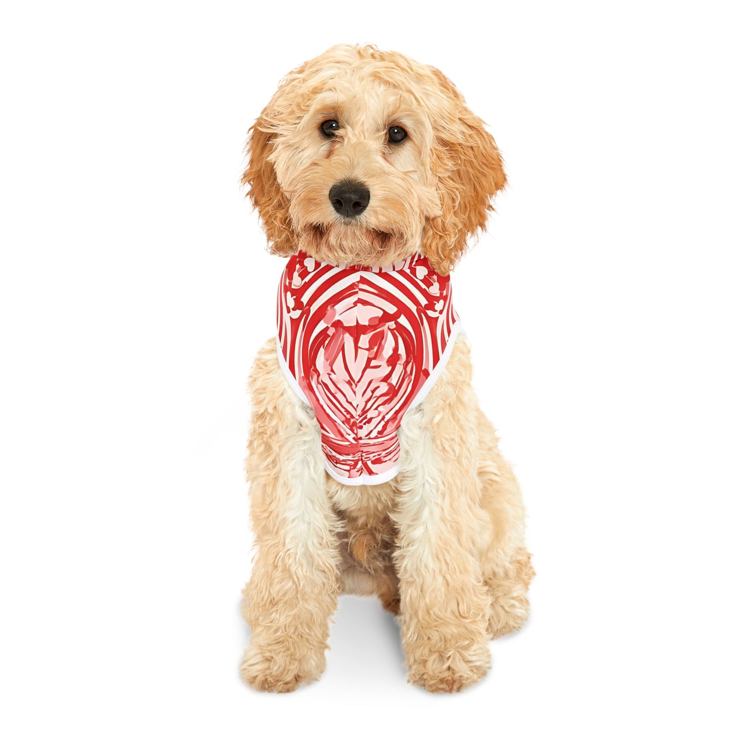 Stylish Pet Hoodie for Your Best Friend, Valentine's Gift, Cute Pet Clothing, Cozy Dog Sweater, Red Heart Design