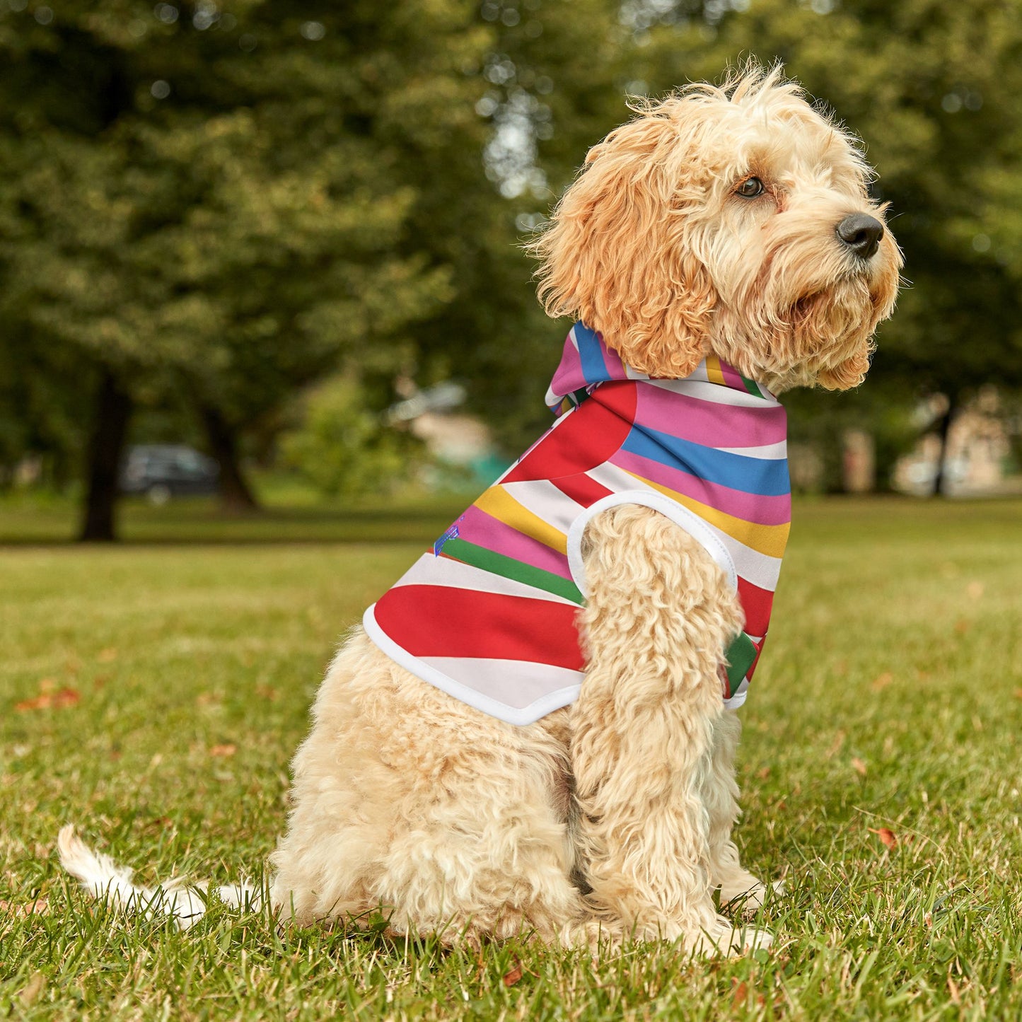 Vibrant Pet Hoodie with Colorful Stripes, Stylish Pet Apparel, Rainbow Dog Outfit, Playful Pet Fashion