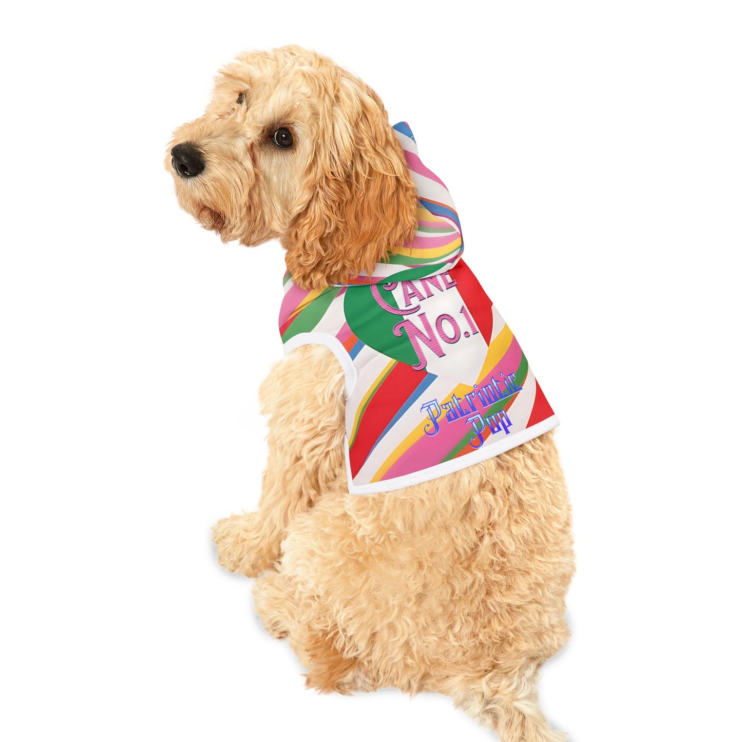 Vibrant Pet Hoodie with Colorful Stripes, Stylish Pet Apparel, Rainbow Dog Outfit, Playful Pet Fashion