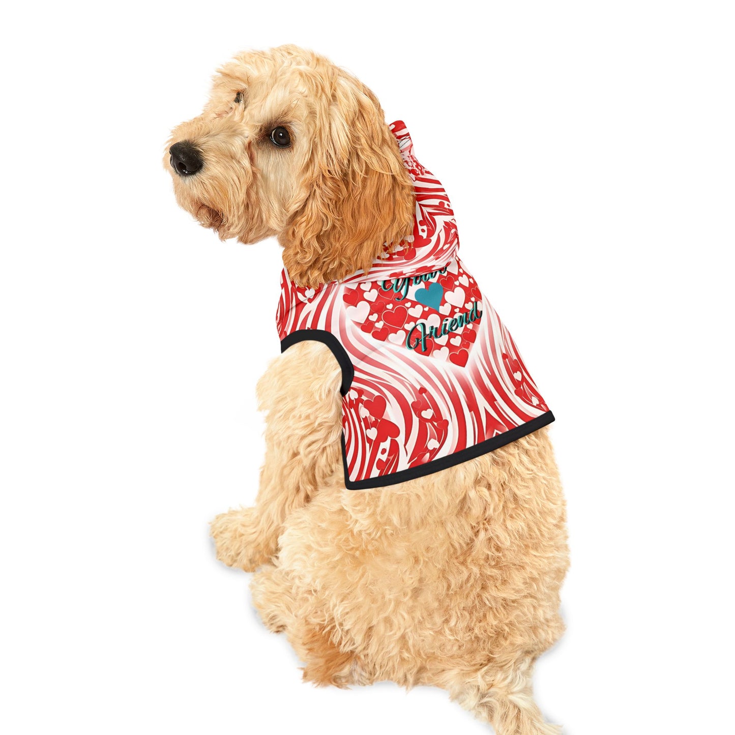 Stylish Pet Hoodie for Your Best Friend, Valentine's Gift, Cute Pet Clothing, Cozy Dog Sweater, Red Heart Design