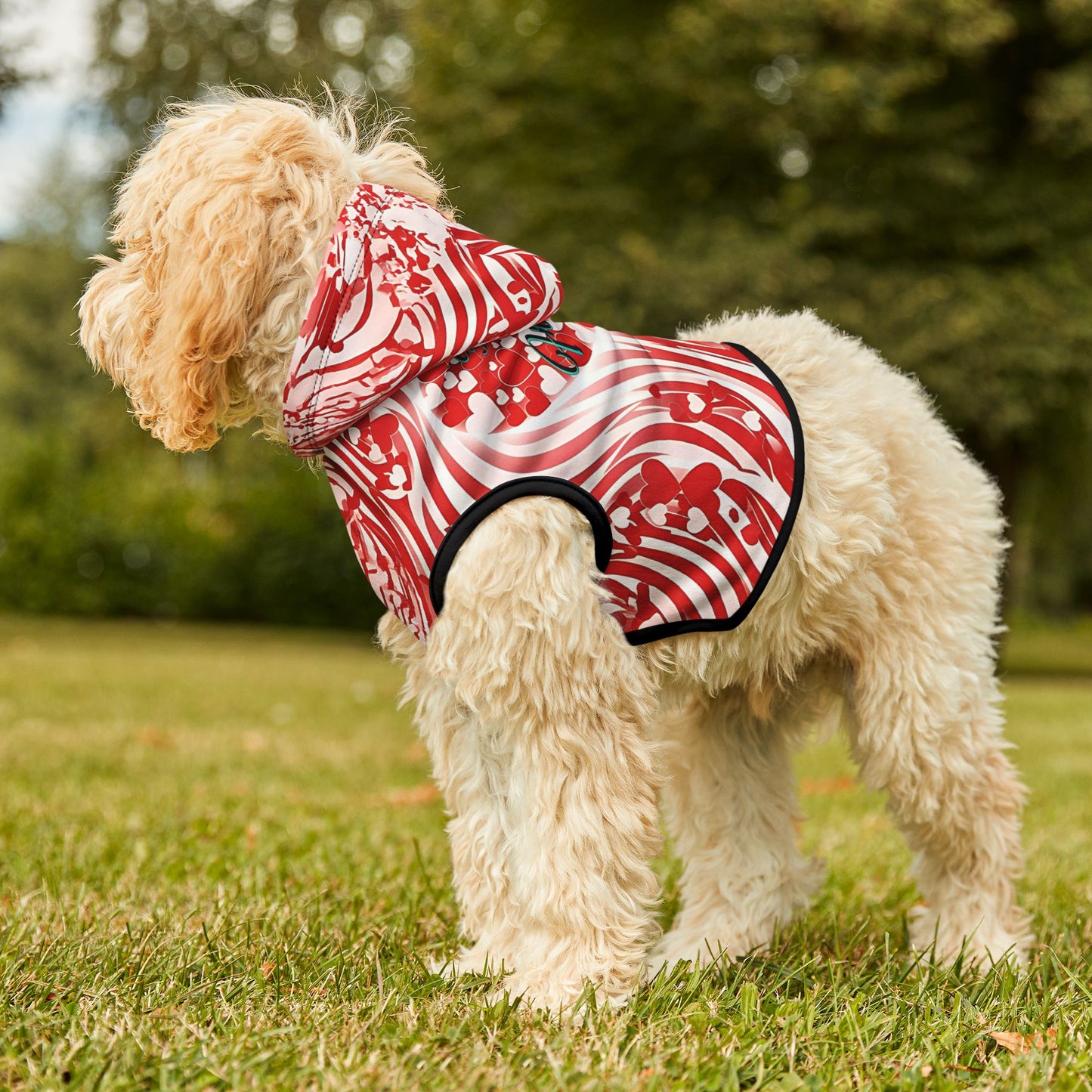 Stylish Pet Hoodie for Your Best Friend, Valentine's Gift, Cute Pet Clothing, Cozy Dog Sweater, Red Heart Design