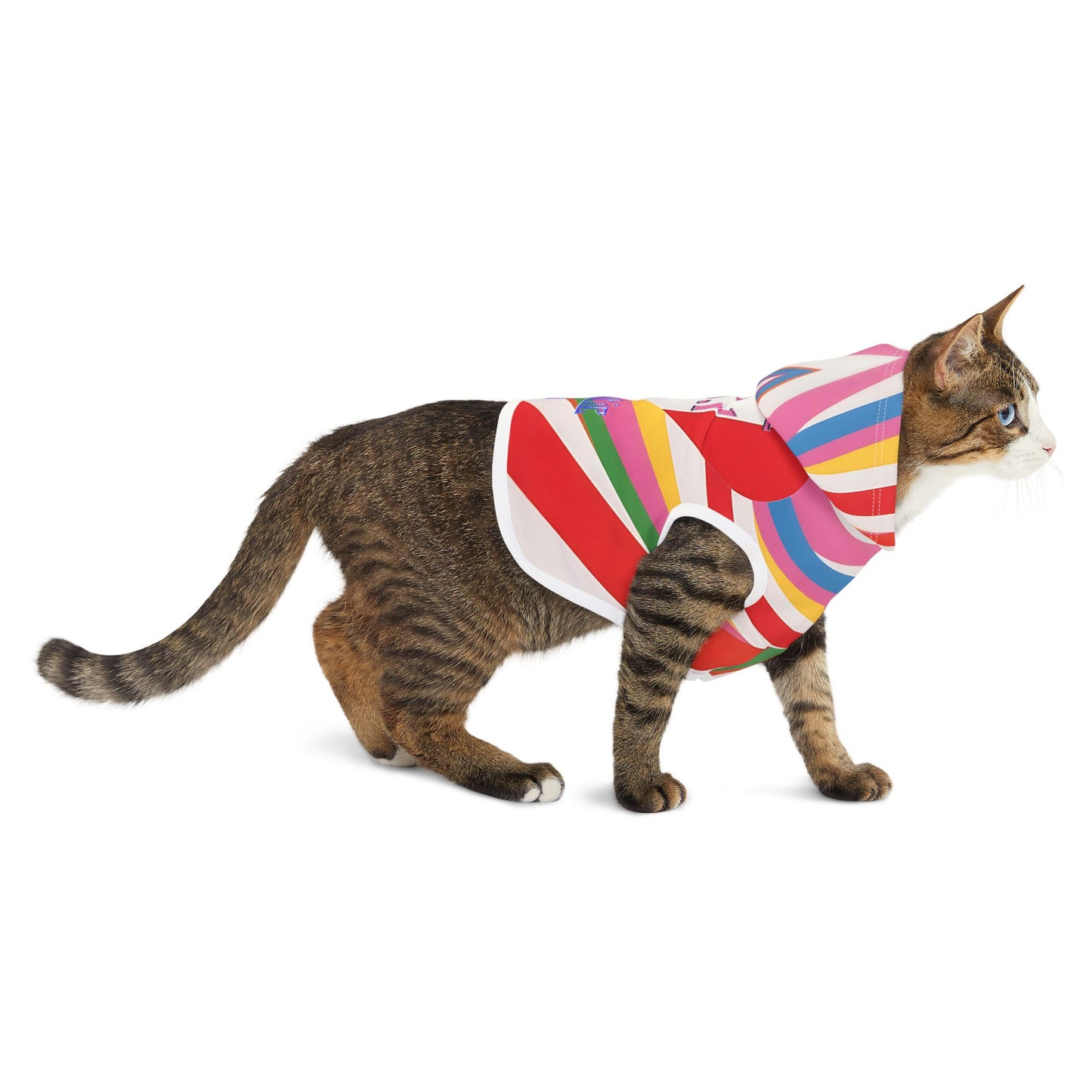 Vibrant Pet Hoodie with Colorful Stripes, Stylish Pet Apparel, Rainbow Dog Outfit, Playful Pet Fashion