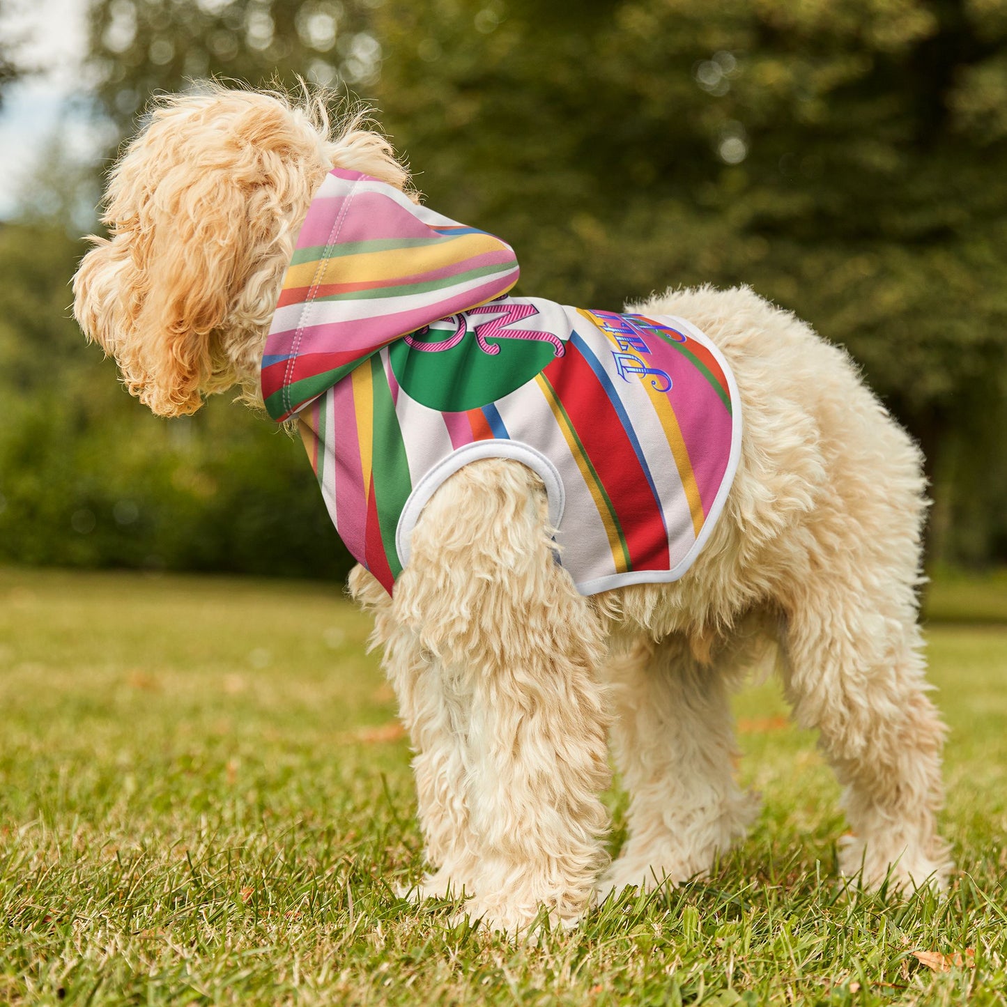 Vibrant Pet Hoodie with Colorful Stripes, Stylish Pet Apparel, Rainbow Dog Outfit, Playful Pet Fashion