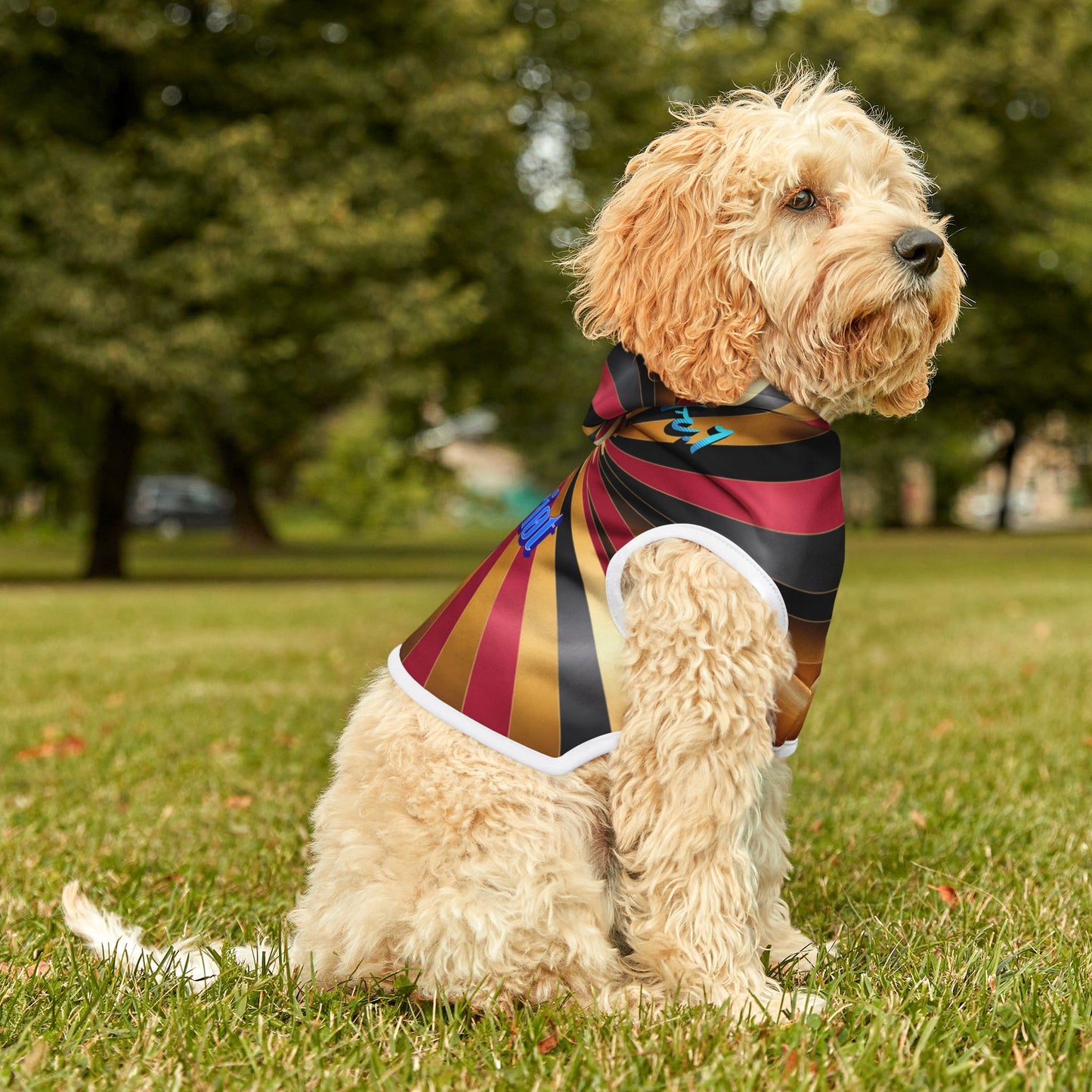 Vibrant Pet Hoodie for Fashionable Dogs, Cozy Pet Apparel, Cute Dog Sweater, Stylish Dog Clothing, Ideal Gift for Pet Lovers