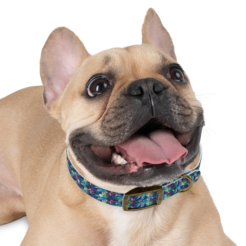 Dog Collar - Colorful and Heartwarming  Floral Design