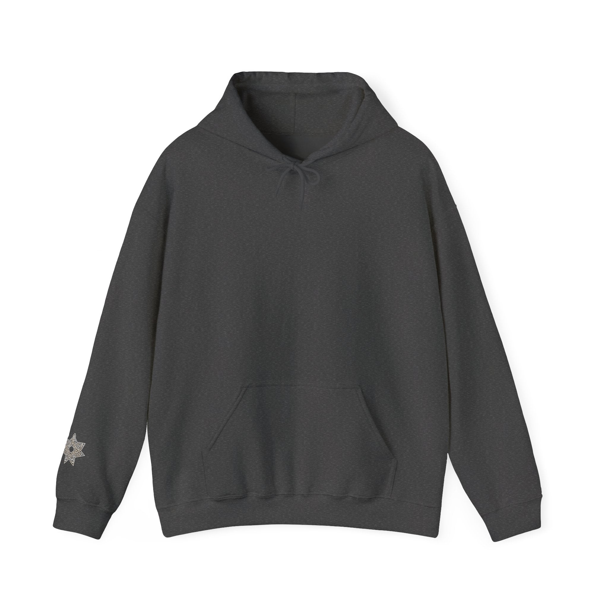 Hoodie — Vintage Steampunk Lion Crest Back Print