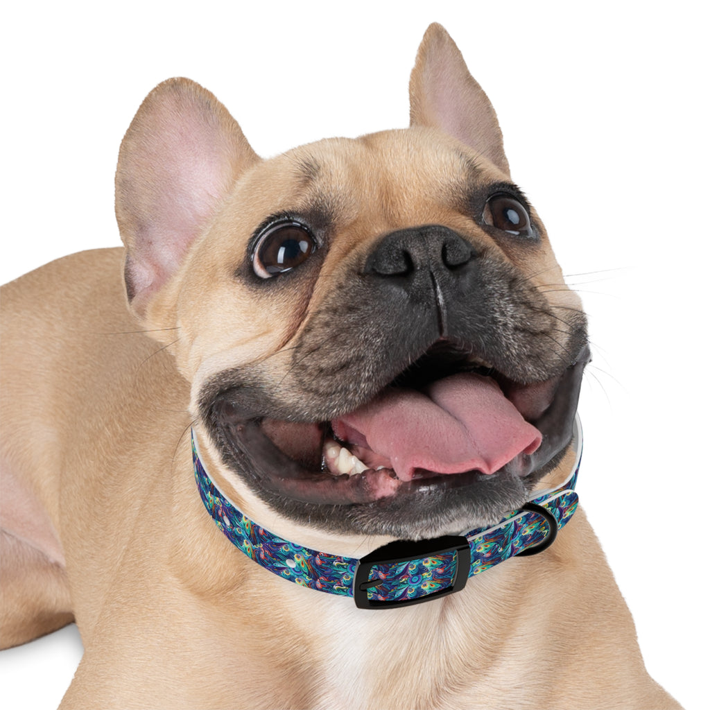 Dog Collar - Colorful and Heartwarming  Floral Design