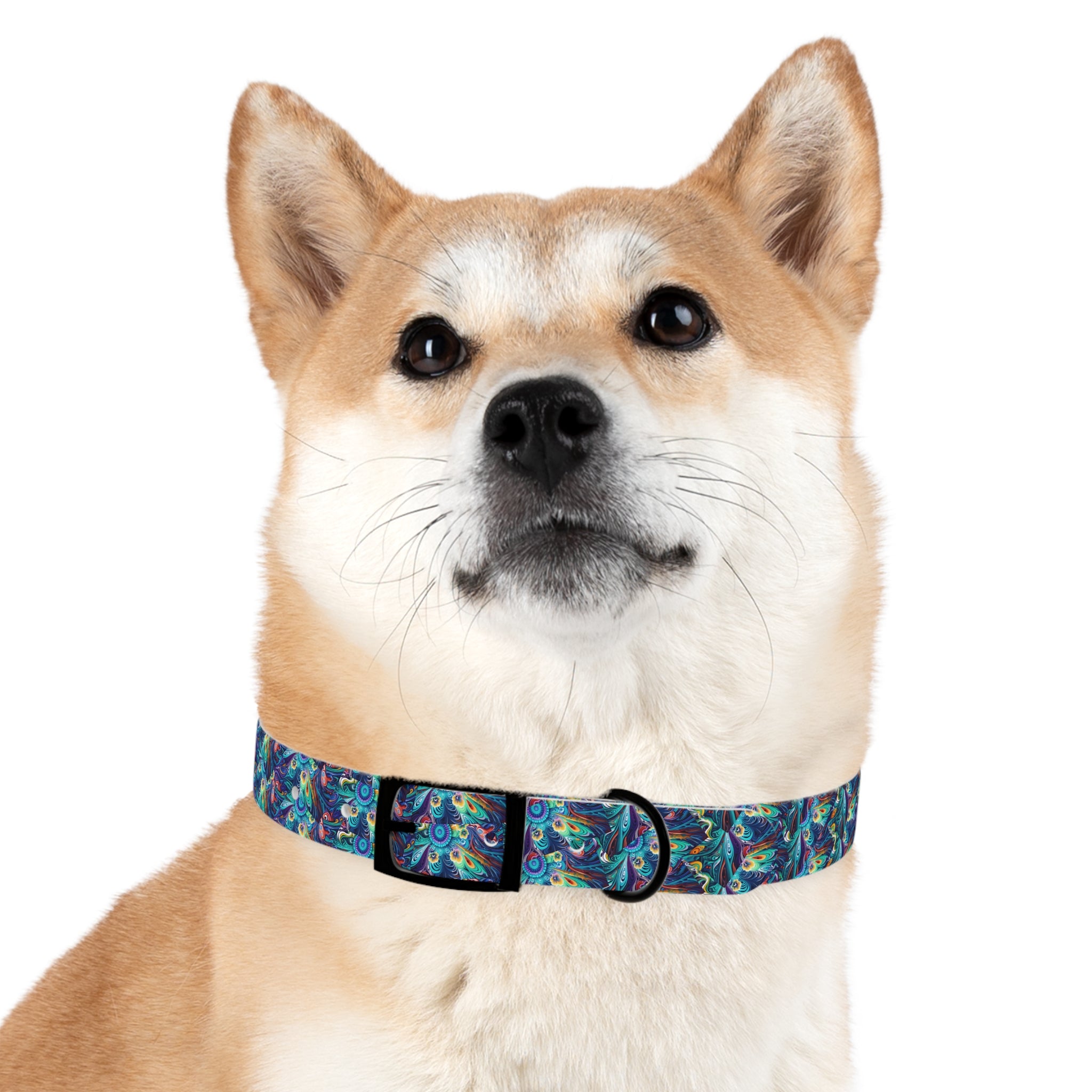 Dog Collar - Colorful and Heartwarming  Floral Design