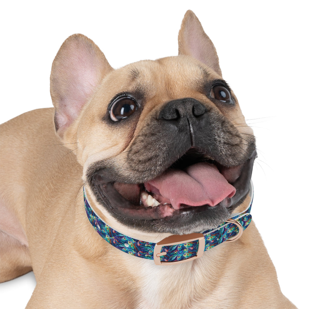 Dog Collar - Colorful and Heartwarming  Floral Design