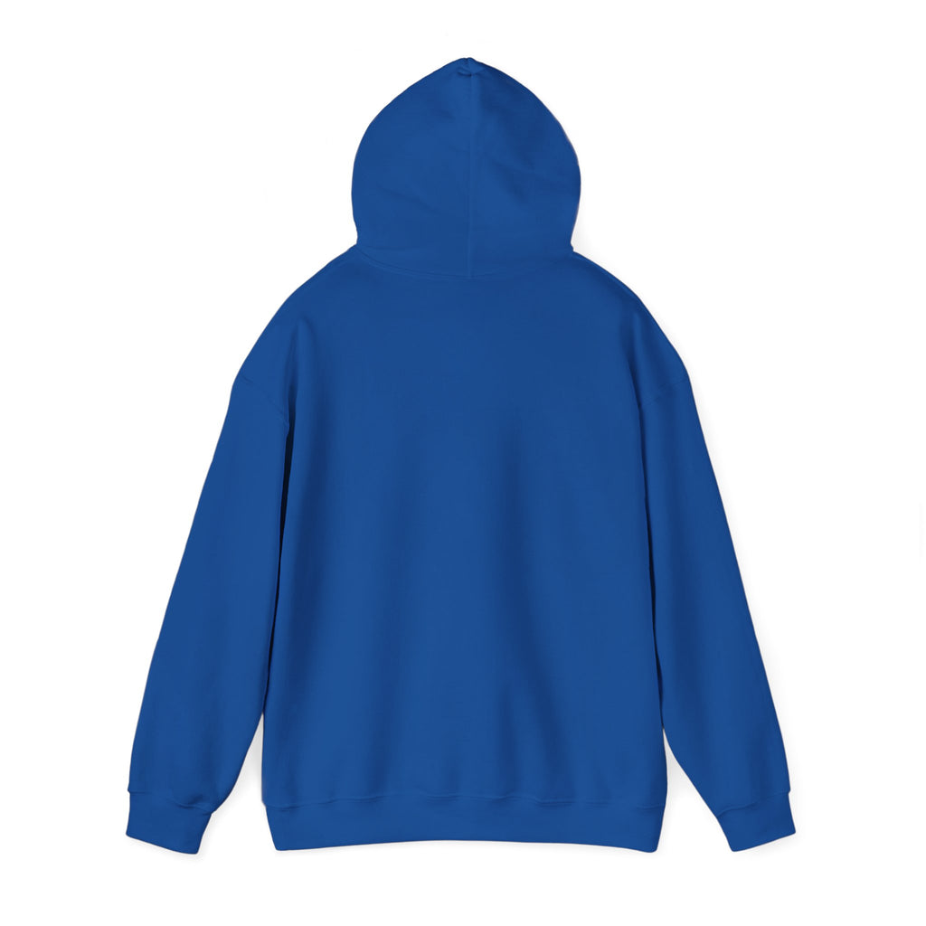 Bohemian Chic Hoodie, Unisex Sweater, Cozy Casual Wear, Gifts for Her, Artistic Sweatshirt, Festival Style Apparel